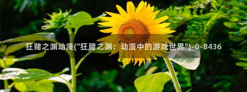 成人动漫：狂赌之渊动漫(\
