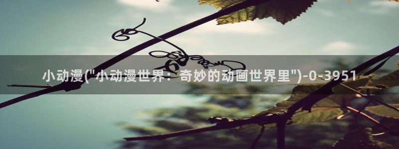 动漫版