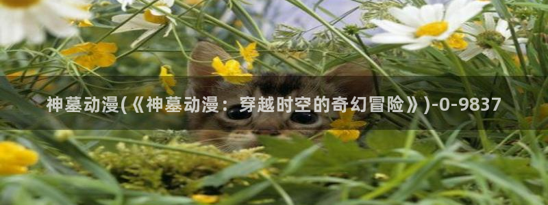成人动漫在线
