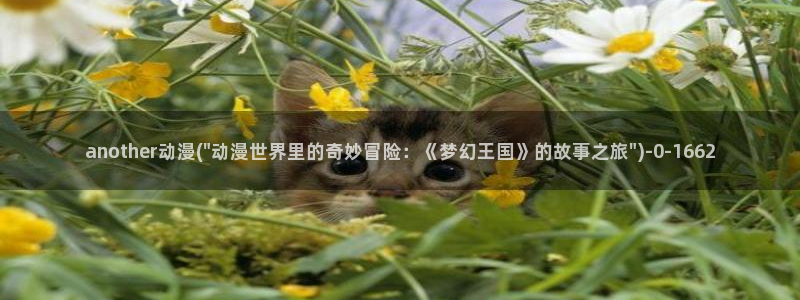 飞机杯动漫